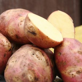 Potatoes