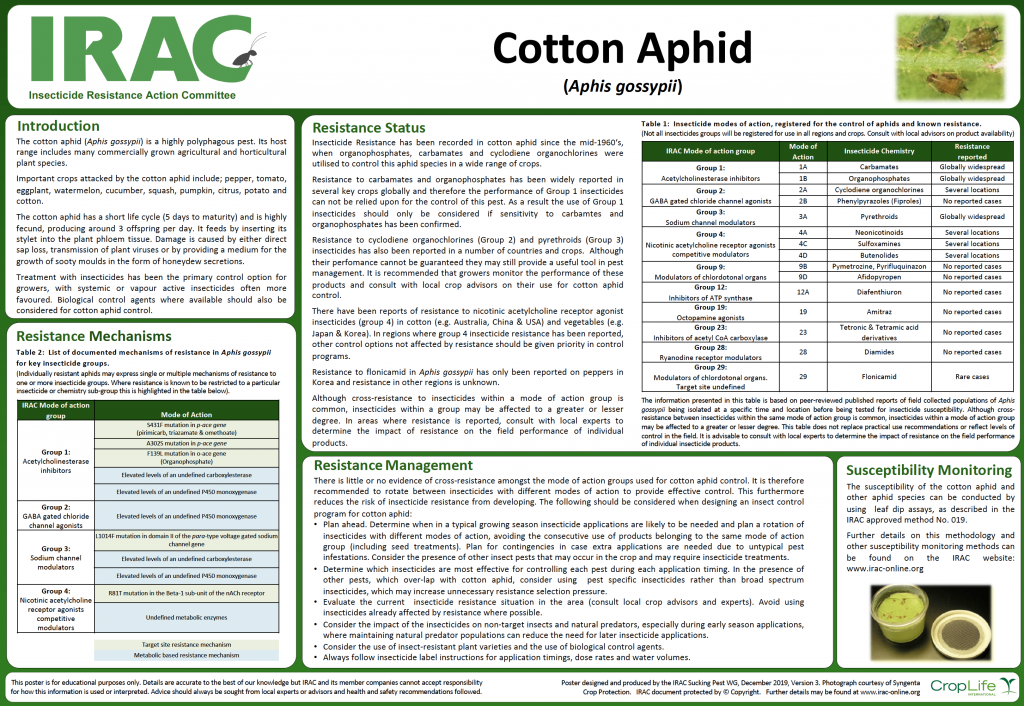 Melon & Cotton Aphid Archives Insecticide Resistance Action Committee