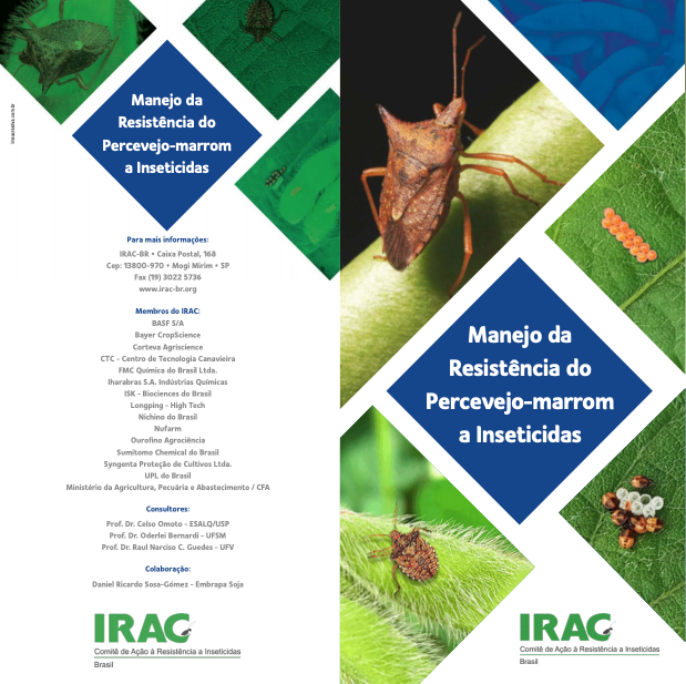 Stink Bug Archives | IRAC