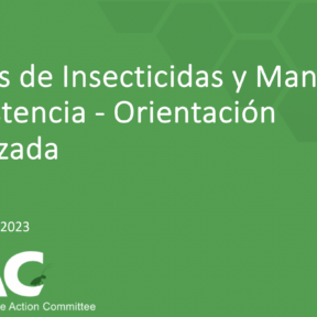 Mixtures - Spanish
