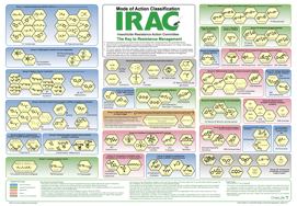 Mode Of Action Classification | Insecticide Resistance Action Committee ...